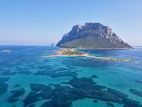 OLBIA, Unique excursions in the Gulf of Olbia - Housity