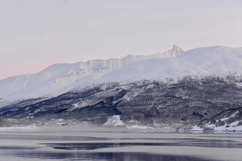 Tromsø : Croisière dans les fjords de l'Arctique dans les paysages polaires