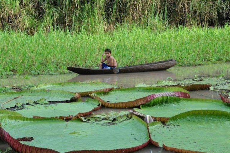From Iquitos: Sail on the Amazon River |Full Day|