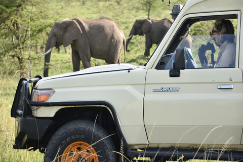 3 -Day Tsavo Explorer