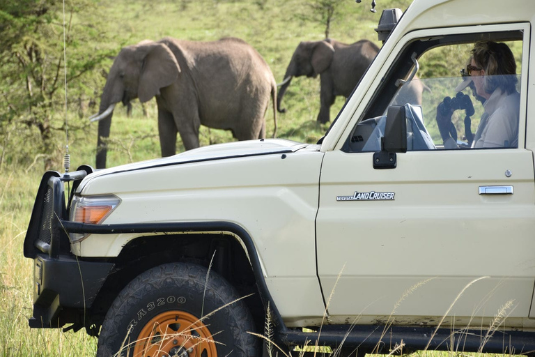 Tsavo Explorer-tur3 dagars utflykt till Tsavo