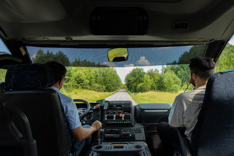 From Vilnius: Trakai & Hill of Angels Tour