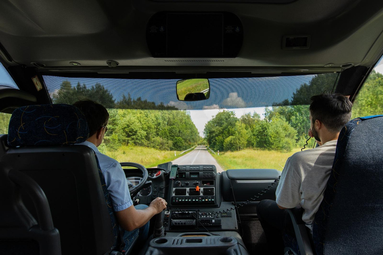 From Vilnius: Trakai & Hill of Angels Tour