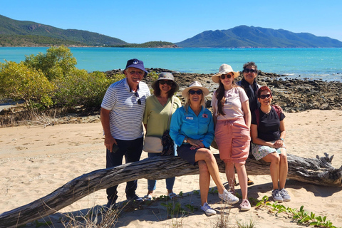 Escapade sur les plages de la côte - Dingo Beach et Cape Goucester