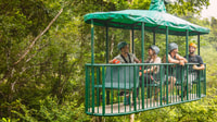 Canopy Zip line & Aerial Tram Tour - Housity