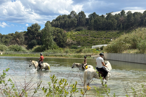 Polop: Horse ride near Benidorm (1 hour) Polop: Horseback Ride + Transportation