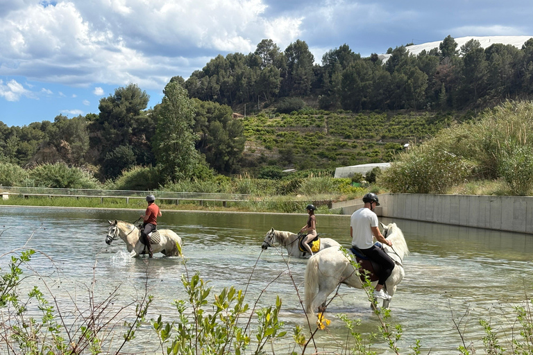Polop: Horse ride near Benidorm (1 hour) Polop: Horseback Ride + Transportation