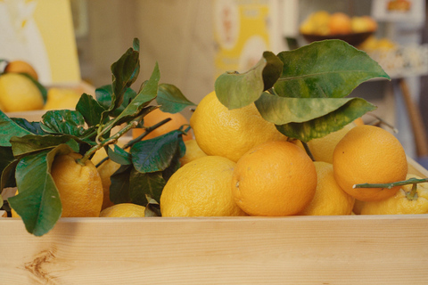 Good morning Sorrento! Tour of the Alleys, Panorama, and Food Tasting among the Lemon Trees Good morning, Sorrento! Tour of the Alleys, Panorama, and Food Tasting among the Lemon Trees