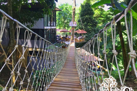 Chiang Mai: Pongyang Jungle Coaster and Zip Line Tour Package A + Transfer