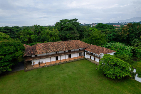 Bogotá to Cali: Private Luxury Journey through the Andes and Coffee