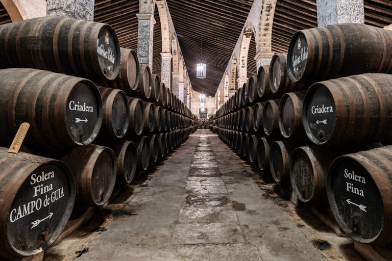 Exclusive Sherry Heritage & Cádiz Bay Experience