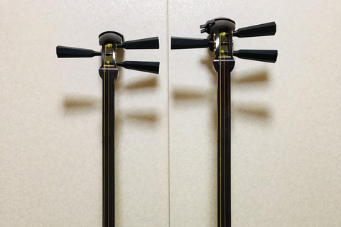 Kanazawa: impara a suonare lo shamisen in kimono