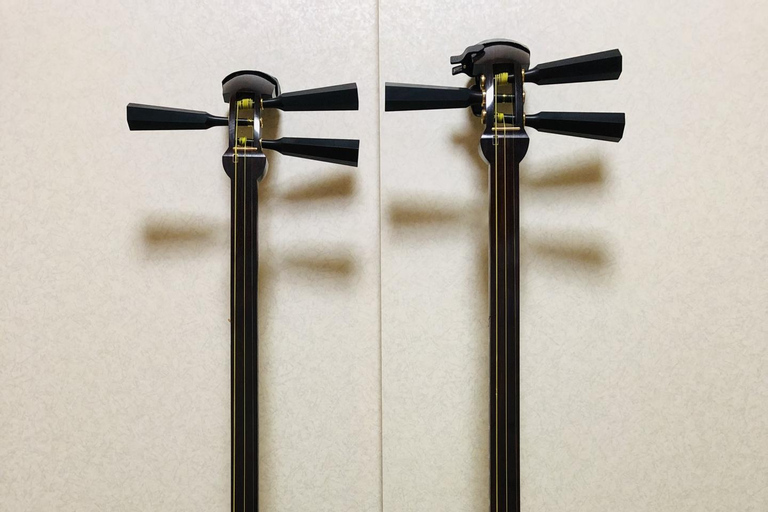 Kanazawa: impara a suonare lo shamisen in kimono