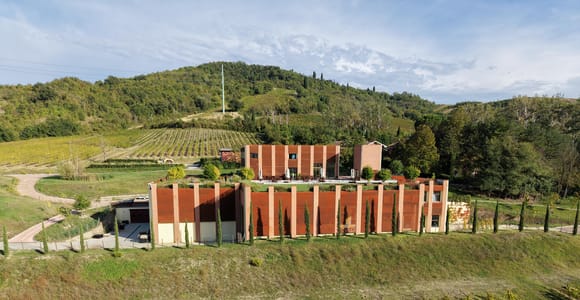 Bologna – Cantina Tomisa: Visit with organic wine tasting