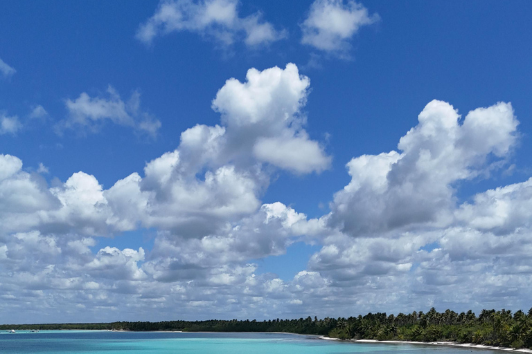 Saona Island: Premium Beach Tour