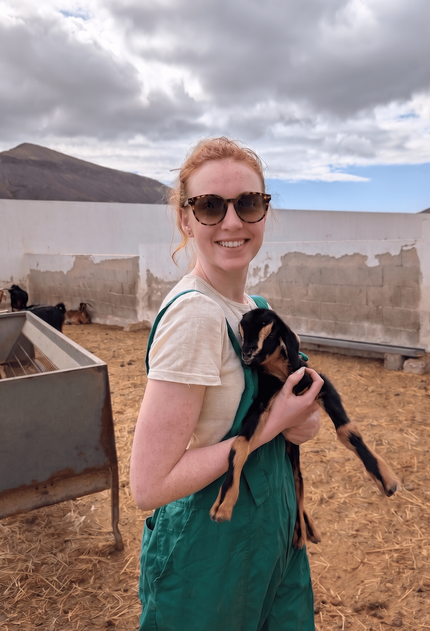 Fuerteventura: Handwerkliche Ziegenkäseherstellung auf einer lokalen Farm