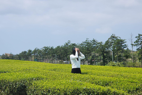 Isola di Jeju: tour di un giorno a sud e ovest