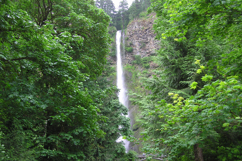 Portland: Multnomah Falls Day Trip with Transport