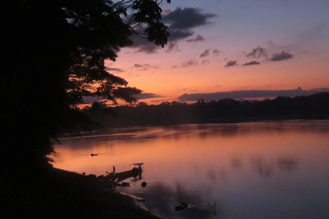 Puerto Maldonado: Tambopata Expeditions 4 Days (expeditions) Puerto Maldonado: Tambopata Expeditions 4 days (expeditions)