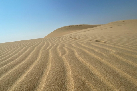 Gedeelde woestijnsafari, kamelentocht, sandboarden & binnenzee