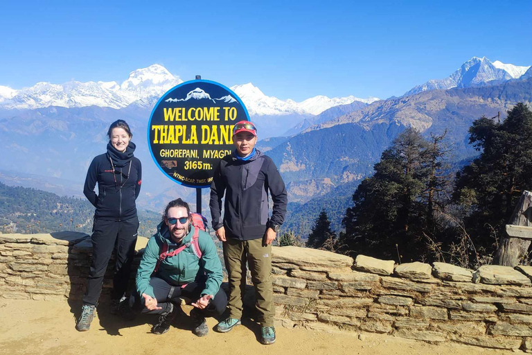 Ghorepani Poon Hill Trek - 4 Days