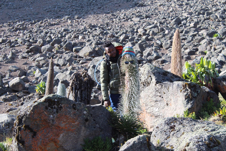 À la conquête du mont KenyaTraversée de 4 jours de Chogoria à Sirimon