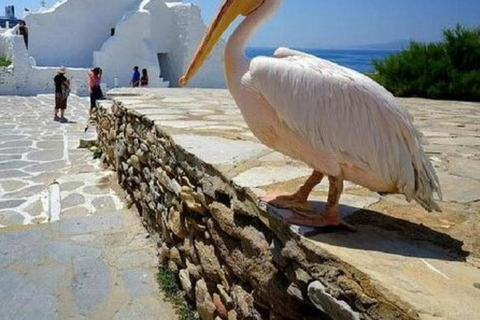 Mykonos Highlights: Discover the Island’s Most Iconic Sights