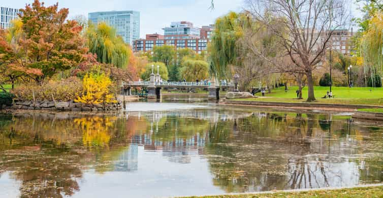 Beacon Hill, Public Garden, Back Bay History + Photo Walking Tour(Small  Group)