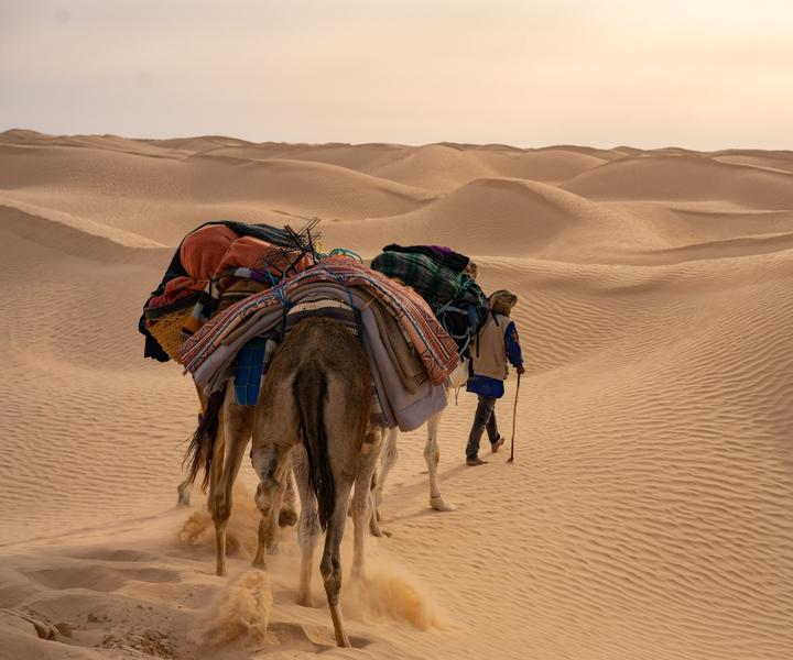 Wonders of Tunisia - 8 Day tour