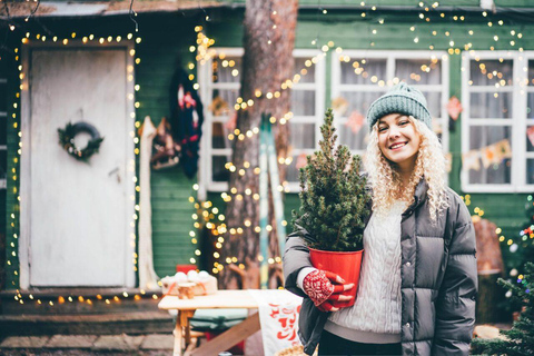 Un maravilloso recorrido navideño por Lucerna