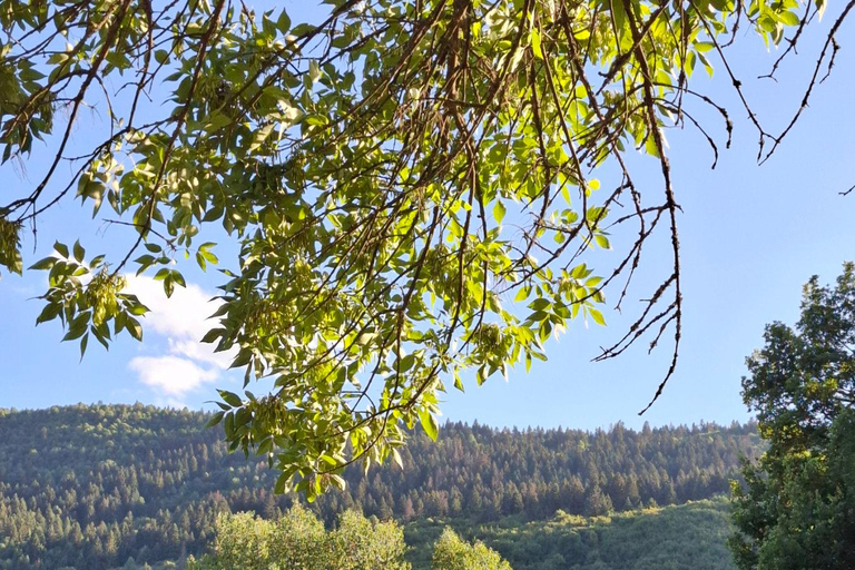 萨拉热窝：斯托伊切瓦茨自然步道