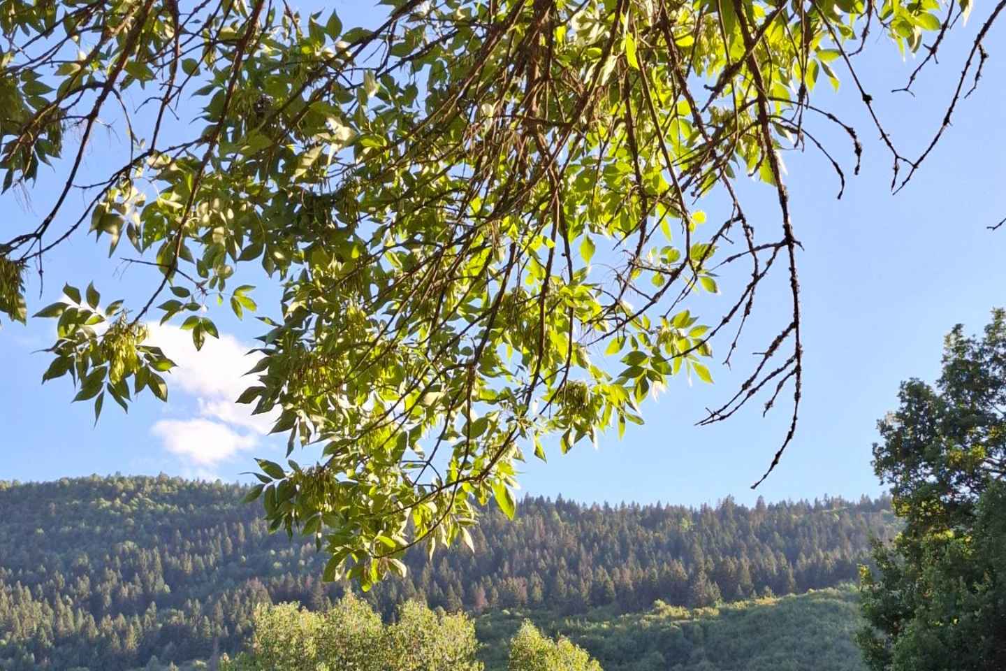 Sarajevo: Stojčevac Nature Walk