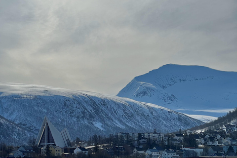 Tromsø: Discover the City & Polar Museum! Free entry! Tromsø: Guided tour of the city, including the Polar Museum!