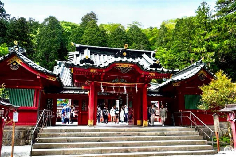 From Tokyo: Mount Fuji Private Customized Day Tour by Van Mt. Fuji & Hakone Full Day Private Customized Tour