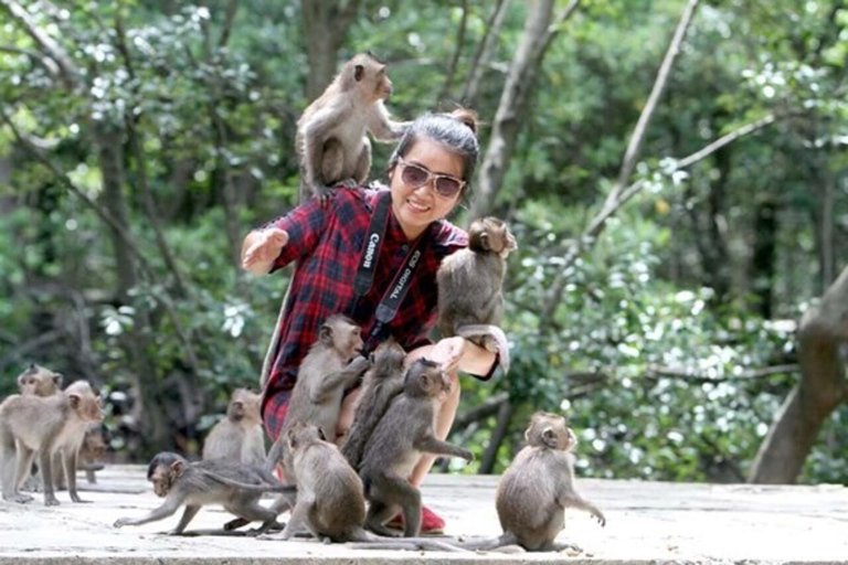 From Ho Chi Minh: Can Gio Mangrove tour