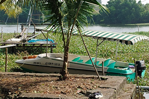 Kochi : Visite touristique en tuk-tuk avec prise en charge depuis le bateau de croisière