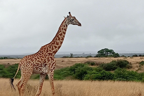 Nationaal park Lake Nakuru vanuit Nairobi