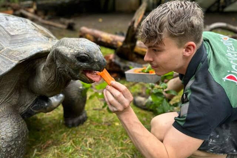 Zanzibar: Red Monkeys Forest Tour, Butterfly & Reptile Park. This option, No Hotel Pickup.