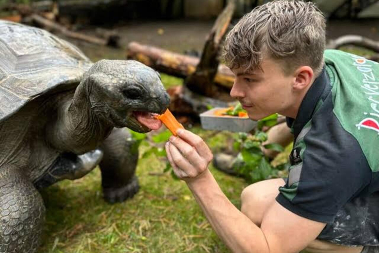 Zanzibar: Red Monkeys Forest Tour, Butterfly & Reptile Park. This option, No Hotel Pickup.