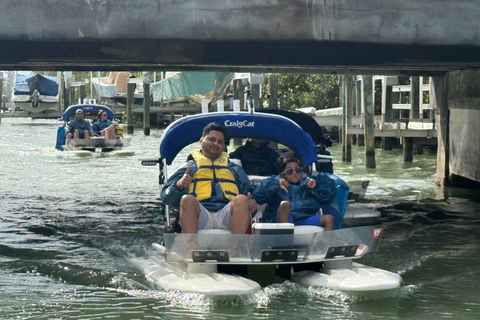 Sarasota: Island Adventures & Catamaran Speedboat Tour