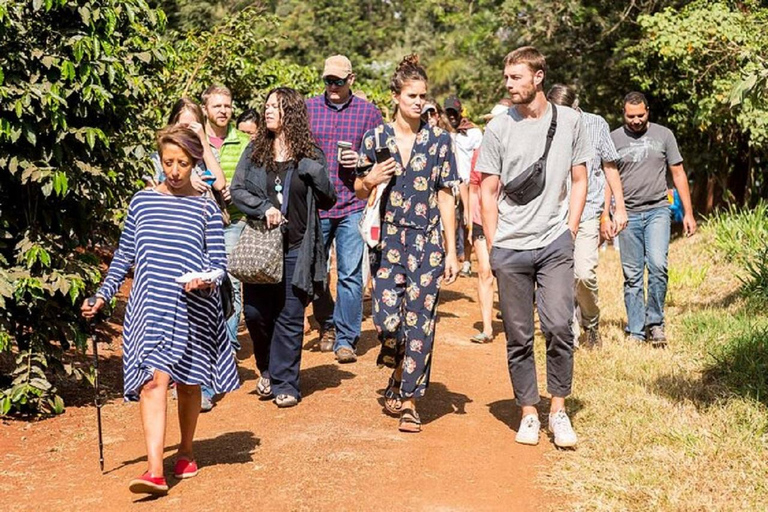 Nairobi: Fairview Coffee Estate Tour with Coffee Tasting