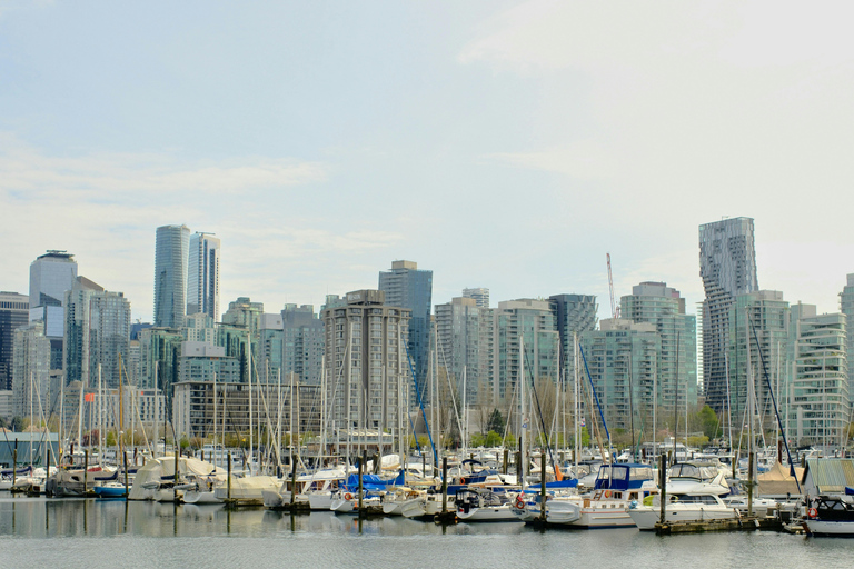 多伦多探索区亮点之旅 | 2小时多伦多发现区亮点游 | 2小时