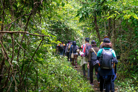 Chiang Mai: Elephant Sanctuary &amp; Jungle Trek w/ WaterfallSanctuary,Trekking,waterfall and bamboo rafting