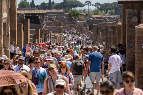 Pompeii: Voorrangstoegang & AudiogidsJapanse rondleiding