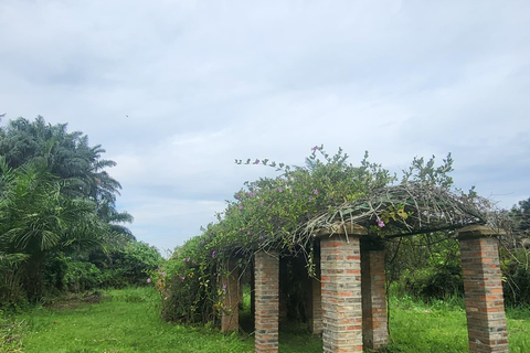 Entebbe: Guided Walking Tour with Markets and History