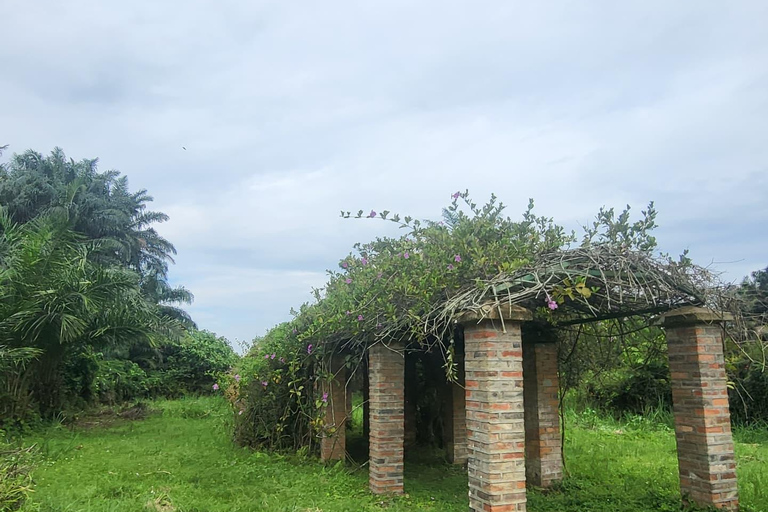 Entebbe: Guided Walking Tour with Markets and History