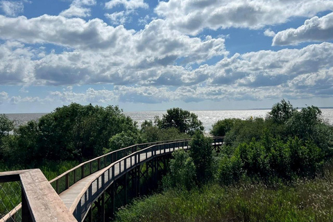From Riga: Pärnu Day Trip – 2 Countries Seaside Experience