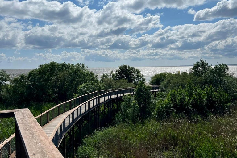 From Riga: Pärnu Day Trip – 2 Countries Seaside Experience