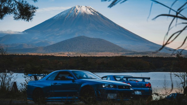 From Tokyo: Mount Fuji Instagram Spots 1-Day Private Tour