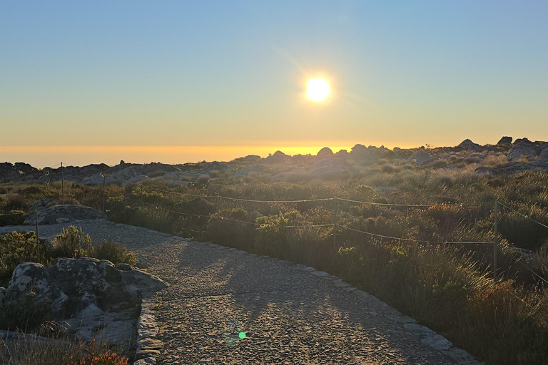 Cape Town: Cruise Passengers sunset Safari & Wine Tour